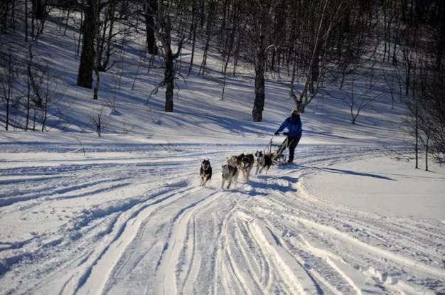 為什么那些線上起家的旅行服務(wù)商，都紛紛做起了地接？
