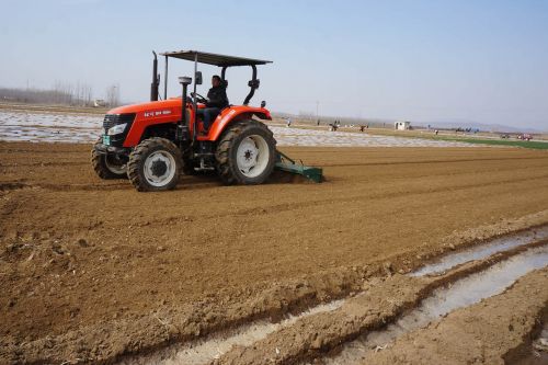 圖為平邑縣平邑街道農(nóng)民在用大型機(jī)械耕作用來播種土豆的土地。