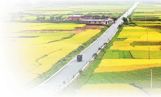 中央1號(hào)文件連續(xù)15次提及農(nóng)村物流 農(nóng)村物流用春天來(lái)了