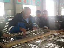 德國廠里檢驗貨物21